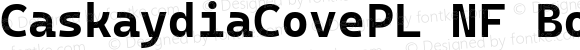 Caskaydia Cove PL Bold Nerd Font Complete Windows Compatible