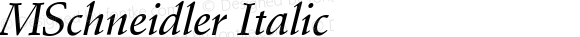 MSchneidler Italic