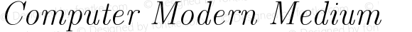 Computer Modern Italic