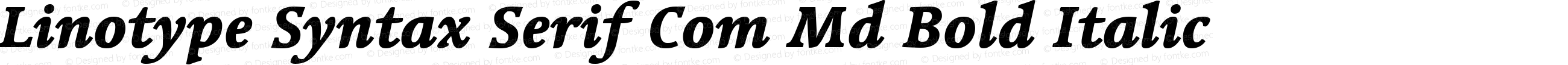 Linotype Syntax Serif Com Heavy Italic