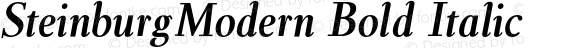 SteinburgModern Bold Italic 001.000