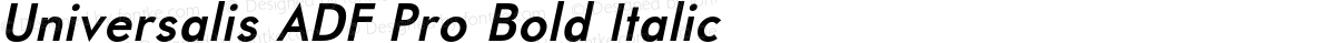 Universalis ADF Pro Bold Italic