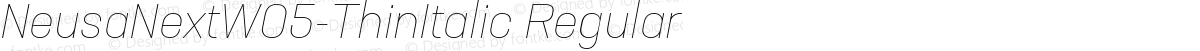 NeusaNextW05-ThinItalic Regular