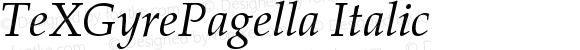 TeXGyrePagella Italic