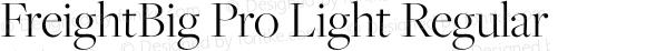 FreightBig Pro Light Regular