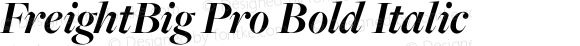 FreightBig Pro Bold Italic