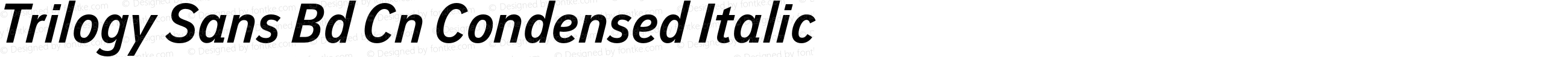 Trilogy Sans Bd Cn Condensed Italic