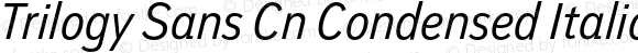 Trilogy Sans Cn Condensed Italic
