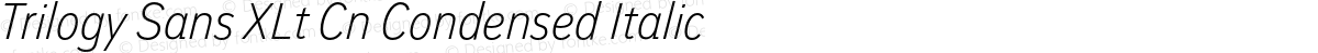 Trilogy Sans XLt Cn Condensed Italic
