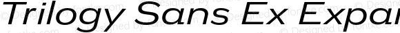 Trilogy Sans Ex Expanded Italic