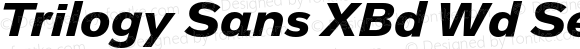 Trilogy Sans XBd Wd Semi-expanded Italic