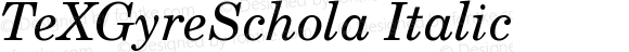 TeXGyreSchola Italic