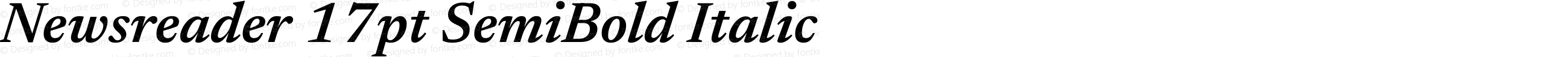 Newsreader 17pt SemiBold Italic