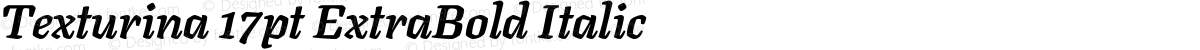 Texturina 17pt ExtraBold Italic