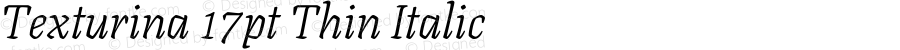 Texturina 17pt Thin Italic