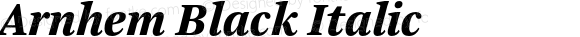 Arnhem Black Italic