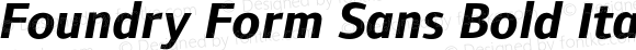 Foundry Form Sans Bold Italic Bold Italic