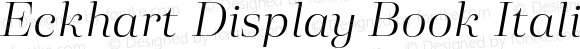 Eckhart Display Book Italic