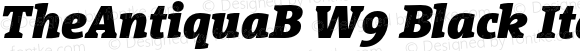 TheAntiquaB W9 Black Italic Version 1.005