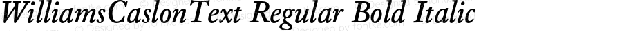 WilliamsCaslonText Bold Italic