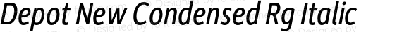 DepotNewCondensed-Italic