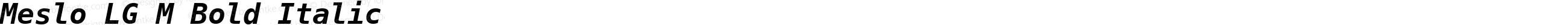 Meslo LG M Bold Italic