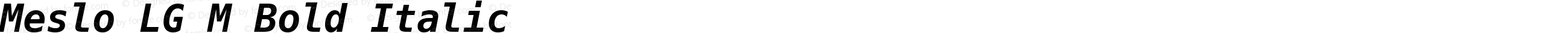 Meslo LG M Bold Italic