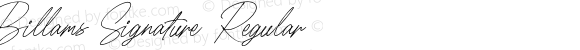 Billams Signature Regular