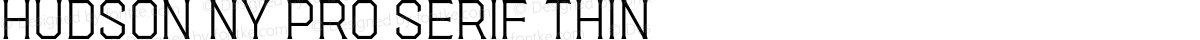 Hudson NY Pro Serif Thin