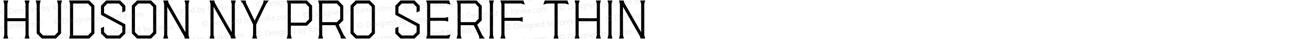 Hudson NY Pro Serif Thin