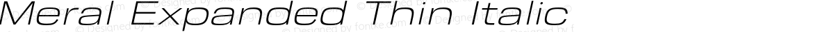 Meral Expanded Thin Italic