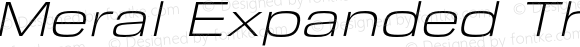 Meral Expanded Thin Italic