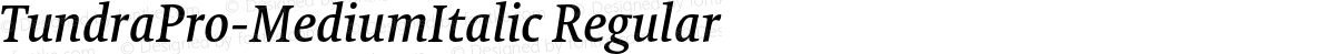 TundraPro-MediumItalic Regular