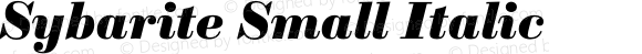 Sybarite Small Italic