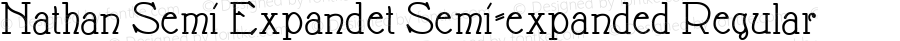 Nathan Semi Expandet Semi-expanded Regular