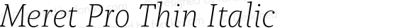 Meret Pro Thin Italic