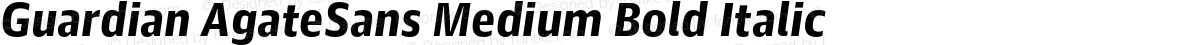 Guardian AgateSans Medium Bold Italic