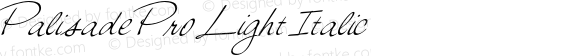 Palisade Pro Light Italic