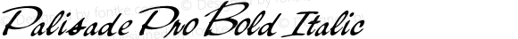 Palisade Pro Bold Italic