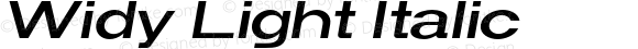 Widy Light Italic