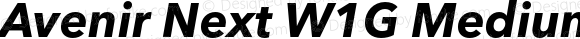 Avenir Next W1G Medium Bold Italic