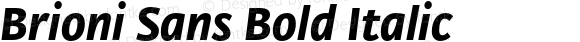 Brioni Sans Bold Italic