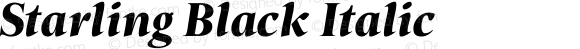 Starling Black Italic