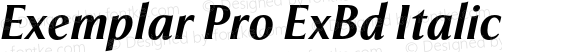 Exemplar Pro ExBd Italic