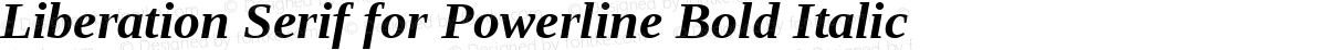 Liberation Serif for Powerline Bold Italic