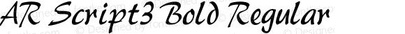 AR Script3 Bold Regular