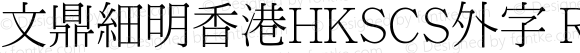 文鼎細明香港HKSCS外字 Regular