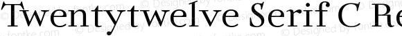 Twentytwelve Serif C Regular