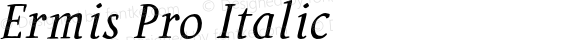 Ermis Pro Italic