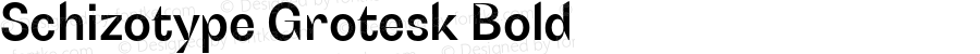 SchizotypeGrotesk-Bold